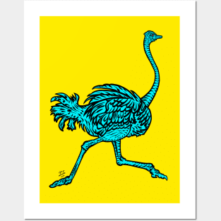 RUNNING OSTRICH .2 Posters and Art